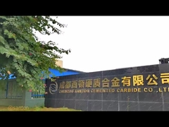 Notre société est le fabricant professionnel de toutes sortes d'inserts de carbure depuis 2007.